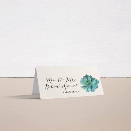 Blush Succulent Place and Escort Cards