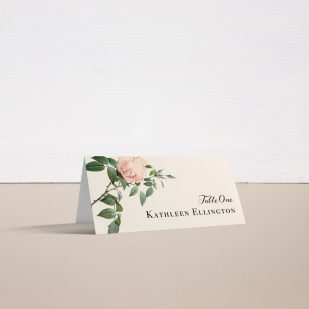 Ivory & Blush Place and Escort Cards