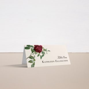 Ivory & Burgundy Place and Escort Cards
